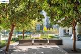 45378 Tom Blalock St - Photo 17