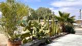 74885 Serrano Dr - Photo 37