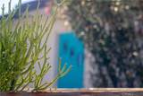 74885 Serrano Dr - Photo 47