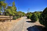1051 Tilley Cir - Photo 7