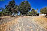 1051 Tilley Cir - Photo 8