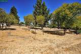1051 Tilley Cir - Photo 9