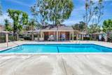 32294 Paseo Carolina - Photo 16