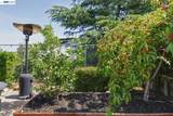 3917 Warbler Dr - Photo 43