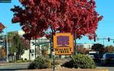 1591 3rd Ave - Photo 46