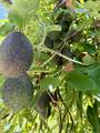 3135 Valley Parkway - Photo 72