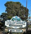 25603 Pine Creek Lane - Photo 1