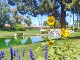 41715 Woodhaven Drive - Photo 12