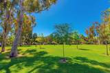 40 Canyon Ridge - Photo 61