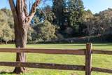 101 Aptos Village Way - Photo 29
