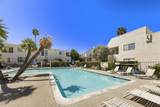 45421 Lupine - Photo 3