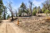 1286 Fawnskin Drive - Photo 3