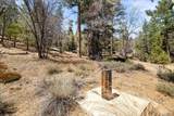 1286 Fawnskin Drive - Photo 4