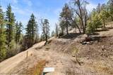1286 Fawnskin Drive - Photo 5
