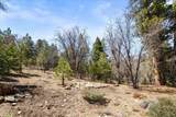 1286 Fawnskin Drive - Photo 6