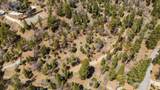 1286 Fawnskin Drive - Photo 7