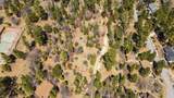 1286 Fawnskin Drive - Photo 8