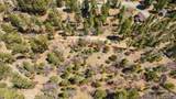 1286 Fawnskin Drive - Photo 9
