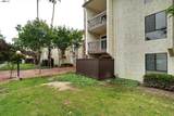 39931 Cedar - Photo 38