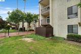 39931 Cedar - Photo 39