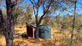 5341 Paddy Hill Road - Photo 12