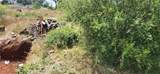 820 Bille - Photo 8