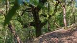 360 Rincon Way - Photo 22