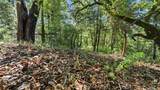 360 Rincon Way - Photo 24