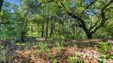 360 Rincon Way - Photo 25
