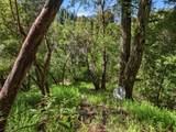 360 Rincon Way - Photo 28