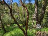 360 Rincon Way - Photo 30