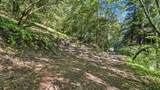 360 Rincon Way - Photo 6