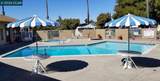 16401 San Pablo Ave - Photo 35