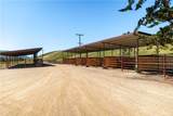 2440 Little Morro Creek - Photo 10