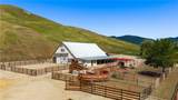2440 Little Morro Creek - Photo 9