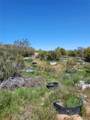 58660 80th Avenue - Photo 8
