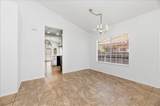 24352 Via Briones - Photo 10