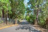 0 Pavlik Pines Road - Photo 17