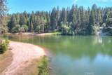 0 Pavlik Pines Road - Photo 23