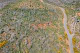 0 Pavlik Pines Road - Photo 8