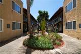 293 Avocado Street - Photo 4