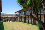 293 Avocado Street - Photo 6