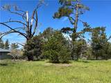2540 Malvern Street - Photo 6