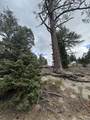 35-0002 Mountain Center - Photo 18
