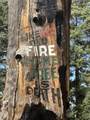 35-0002 Mountain Center - Photo 28