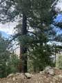 35-0002 Mountain Center - Photo 33
