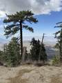 35-0002 Mountain Center - Photo 49