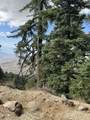 35-0002 Mountain Center - Photo 50