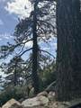 35-0002 Mountain Center - Photo 58