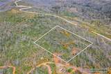 0 Pavlik Pines - Photo 3